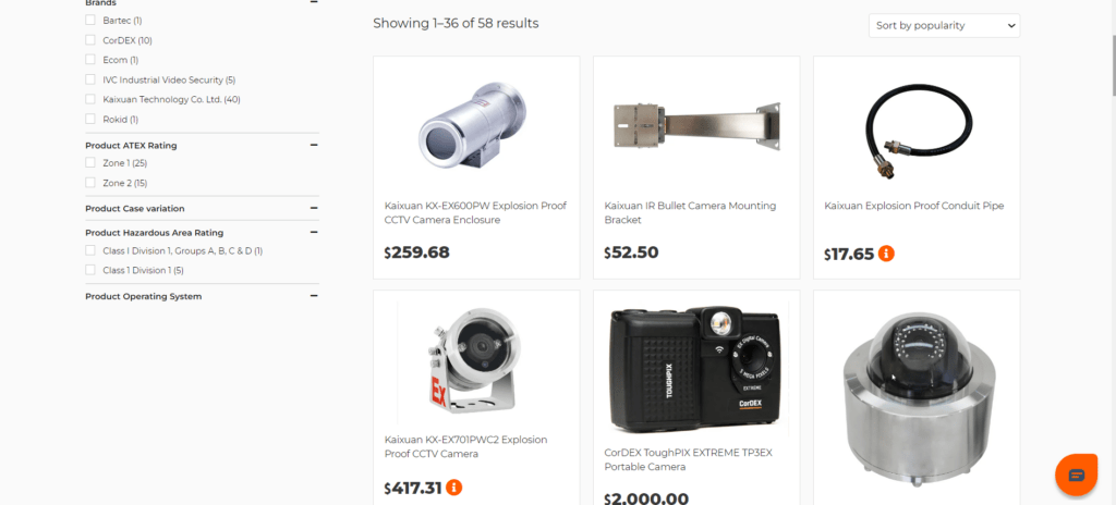 Cameras product homepage with various products Image