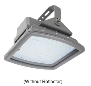 Shenzhen CES-J40 Hazardous Location LED Flood Light-IS