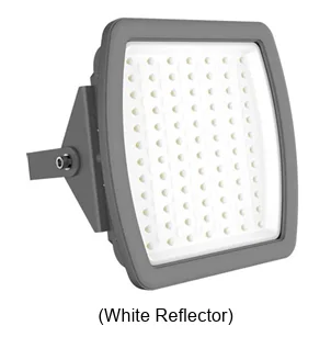 Shenzhen CES-J100 Hazardous Location LED Flood Light-IS