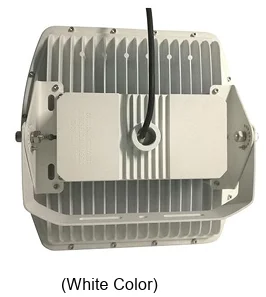 Shenzhen CES-J200 Hazardous Location LED Flood Light-IS