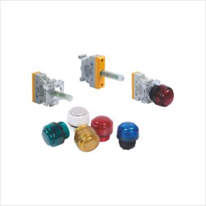 Warom BD8050 Explosion-Proof Indicator
